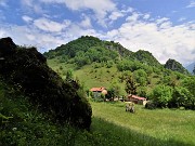 51 Verde conca prativa con vista sulla cima del Monte Zucco